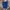 Shortpants Adidas Logo Vintage Blue photo 1