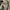 Fox Men - Military Cargo Pants photo 7