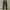 Fox Men - Military Cargo Pants photo 1