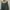 Fox Men - Military Cargo Pants photo 3