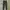 Fox Men - Military Cargo Pants photo 4