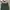 Fox Men - Military Cargo Pants photo 6