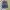 Polo Ralph Lauren - Carpenter Jorts Pants photo 1
