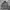 Buckaroo M65 Parka Jacket photo 1