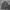 Buckaroo M65 Parka Jacket photo 5