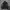 Buckaroo M65 Parka Jacket photo 4