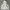 2000's Heavyweight Gray Zip Up Hoodie Boxy photo 4