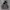 2009's Heavyweight Dark Gray Zip Up Hoodie Boxy photo 1