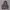 2009's Heavyweight Dark Gray Zip Up Hoodie Boxy photo 5