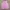 Pink tanktop crop Lollipop photo 1
