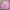 Pink tanktop crop Lollipop photo 2