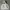 2000's Heavyweight Gray Hoodie Boxy photo 2