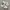 Newbalance 530 White Black photo 1