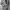 JAS BLAZER PRIA PAL ZILERI  GREY photo 6