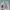 Streetwear Avant Garde Casual shirt Pria white photo 8