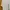 Airsm Cotton Oversized Crew Neck Tee Shirt Light Gray photo 2