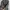 JAS BLAZER W&P HOUSE JAS BLAZER PRIA GREY photo 5