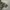Ciaopani Wide Cargo Pants 