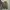 ciaopani wide cargo pants  photo 2