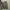 Ciaopani Wide Cargo Pants 