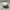 Topi Baseball 47’ Brand New York Yankees “NY” Small Logo Cre photo 4