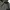Schott NYC Military Heavyweight Down Hooded Mountain Jacket photo 3
