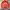 The North Face Sportswear Track jacket Wanita multicolor photo 1