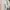Beanpole Casual Windbreaker Pria cream photo 6