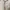 Beanpole Casual Windbreaker Pria cream photo 5