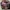Topi 5 Panel DNINE Reserve Full AOP Art Romawi “MADE IN USA” photo 8