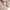 Zara semi mesh knitted ss polo shirt tan kaos kerah knit kni photo 5