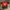Canterbury Y2K Sportswear Jersey Pria White Red Black