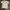 Champion Vintage Casual T-shirt Pria white photo 1
