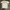 Champion Vintage Casual T-shirt Pria white photo 2