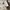 Cowboys ethnic pattern western bohemain hippie style photo 6