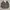 Casual Jacket Liberty Collection Dark Olive Reversible photo 1
