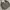 Casual Jacket Liberty Collection Dark Olive Reversible photo 3