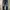 Evisu perfect jeans denim master washed blue buckle back  photo 2