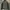 Jacket gorpcore Salomon Reversible size XL photo 3
