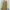 Minimalist Casual Cardigan Wanita Yellow