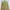 Minimalist Casual Cardigan Wanita Yellow