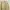 cardigan crop knit soft yellow photo 3