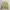 cardigan crop knit soft yellow photo 1