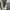 Lusso casual harrington jacket photo 10