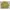 Lolita Casual Cardigan Wanita green photo 4