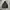 TNF Outdoor Jacket