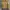 Ziffer baby yellow  photo 1