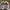 NEW Vans mooneyes authentic 44 dx photo 2