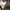 NEW Vans mooneyes authentic 44 dx photo 3