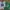 Jersey American Football Original 2 Pcs photo 1